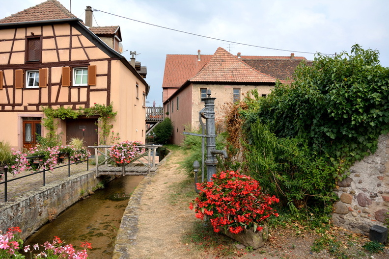 Alsace Kientzheim Village.JPG