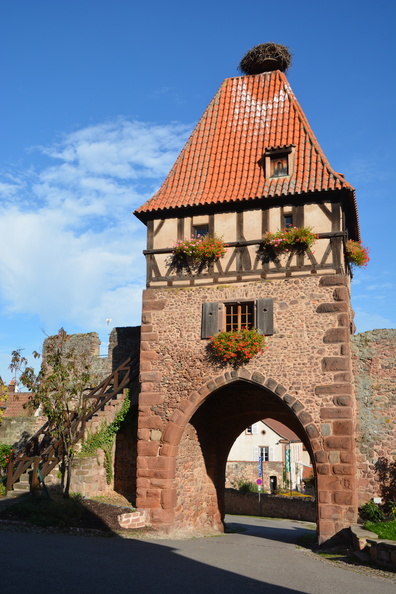 Alsace Châtenois Tour des Sorcières .JPG