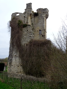Crouy-sur -Ourcq Château du Houssoy 05
