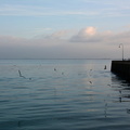 Cancale 13