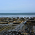 Cancale 19