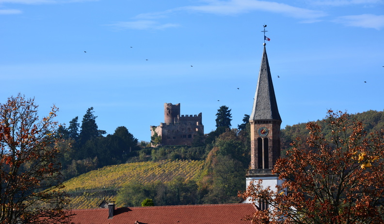 Alsace Scherwiller Château de l'Ortenbourg _02.jpg