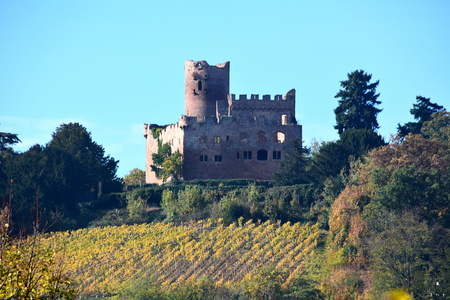 Château de l'Ortenbourg  Scherwiller 