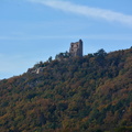 Alsace Scherwiller Château du Ramstein.jpg