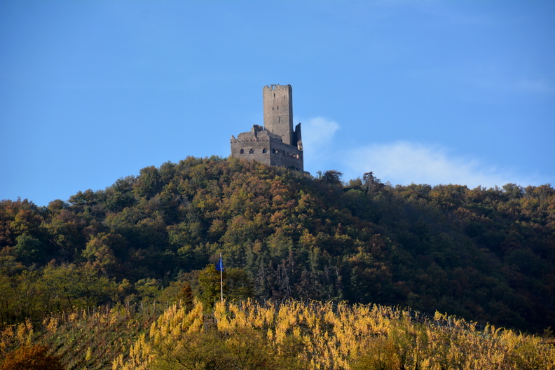 Alsace Scherwiller Château de l'Ortenbourg _09.jpg