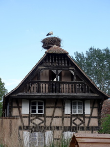 Ungersheim Écomusée d'Alsace  140