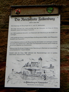 Falkenburg Wilgartswiesen