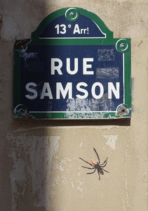 Art Grove_Street-Art_Rue Samson