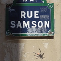 Art Grove_Street-Art_Rue Samson