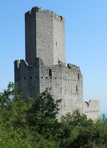 Château de l'Ortenbourg Scherwiller 05