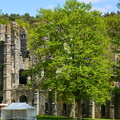 Abbaye de Villers 16