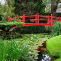 Kildare Irish National Stud & Japanese Gardens 05