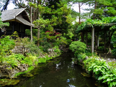 Kildare Irish National Stud &amp; Japanese Gardens 16