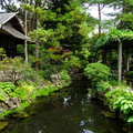 Kildare Irish National Stud & Japanese Gardens 16