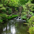 Kildare Irish National Stud & Japanese Gardens 21
