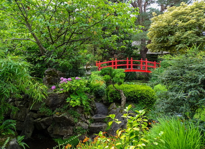 Kildare Irish National Stud &amp; Japanese Gardens 32