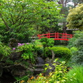 Kildare Irish National Stud & Japanese Gardens_32.JPG