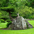 Kildare Irish National Stud & Japanese Gardens 35