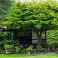 Kildare Irish National Stud & Japanese Gardens 36