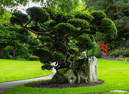 Kildare Irish National Stud &amp; Japanese Gardens 37