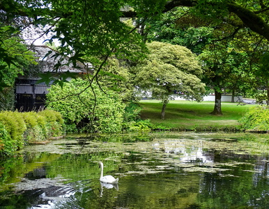 Kildare Irish National Stud &amp; Japanese Gardens 43