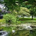 Kildare Irish National Stud & Japanese Gardens 43
