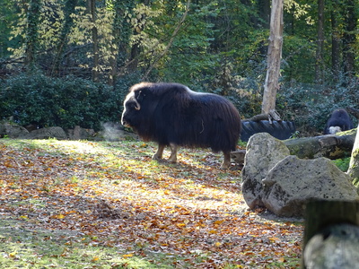 Zoo de Mulhouse