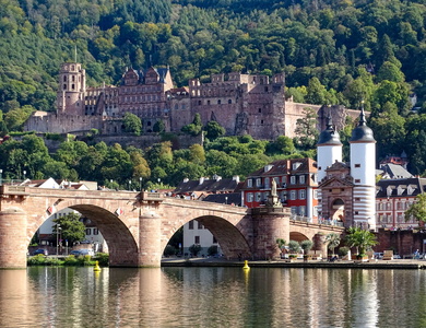 Heidelberger Schloss  13