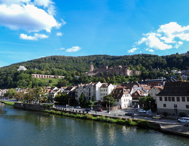 Heidelberger Schloss  25