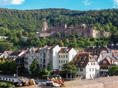 Heidelberger Schloss  30