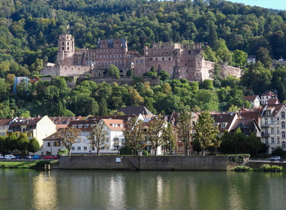Heidelberger Schloss  47