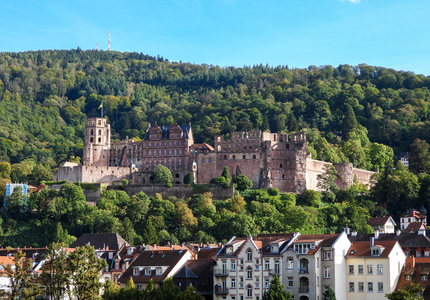 Heidelberger Schloss  59