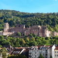 Heidelberger Schloss _59.JPG
