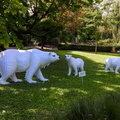 Zoo de Heidelberg 41