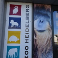 Zoo de Heidelberg 128