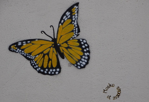IDF Paris 17ème Rue Biot - Mosko 04