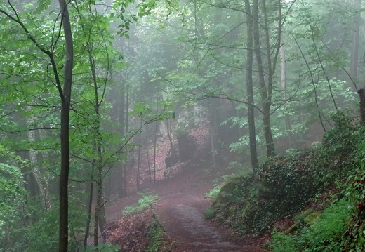 Otrott Mont Ste Odile