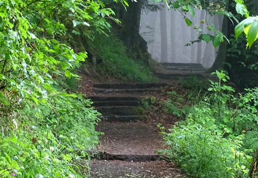 Otrott Mont Ste Odile
