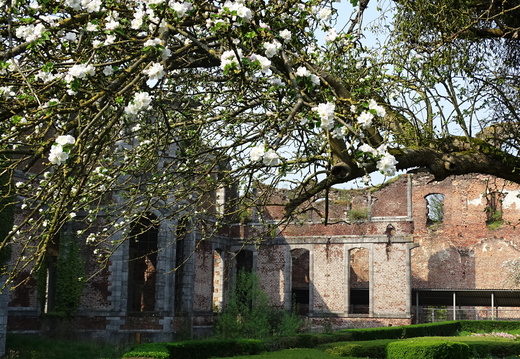Abbaye d'Aulne Thuin