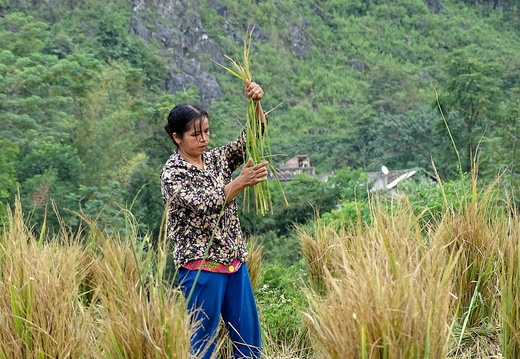 Cao Bang 04