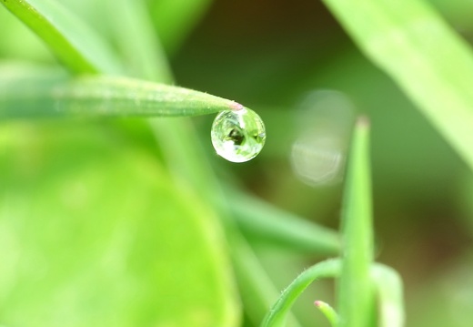 Gouttes de pluie 02