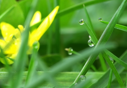 Gouttes de pluie 04