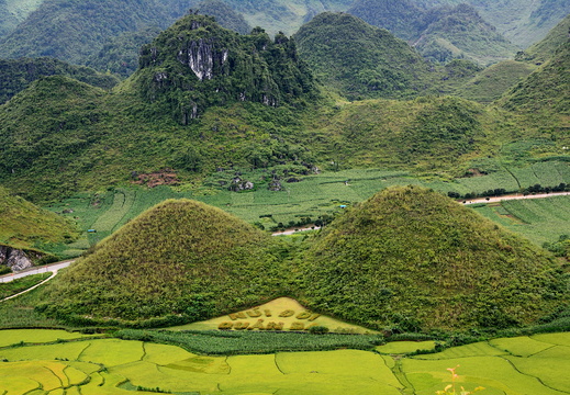 Viêt Nam Nord