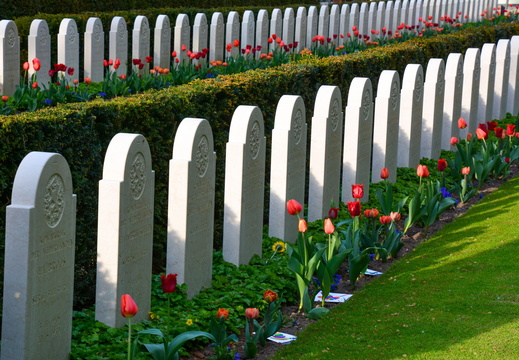 Cimetière militaire du Grebbeberg 4