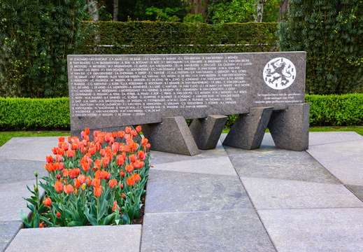 Cimetière militaire du Grebbeberg 8