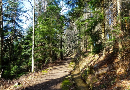 Luttenbach 15