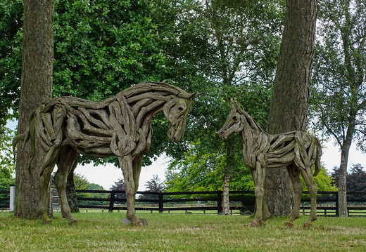 Kildare Irish National Stud &amp; Japanese Gardens 03