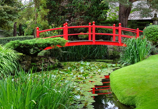 Kildare Irish National Stud &amp; Japanese Gardens 05