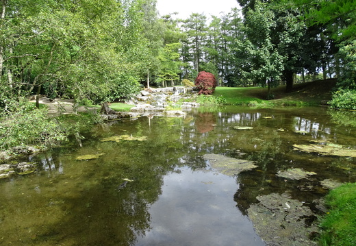 Kildare Irish National Stud &amp; Japanese Gardens 08