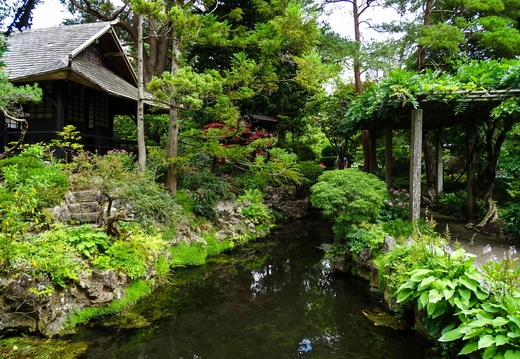 Kildare Irish National Stud &amp; Japanese Gardens 16